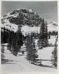 Image description is not available for 2007.011